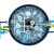 How Technology Enables Scalable Remote Workforces